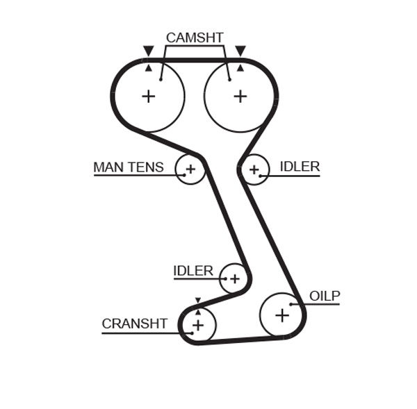 Courroie crantée PowerGrip®