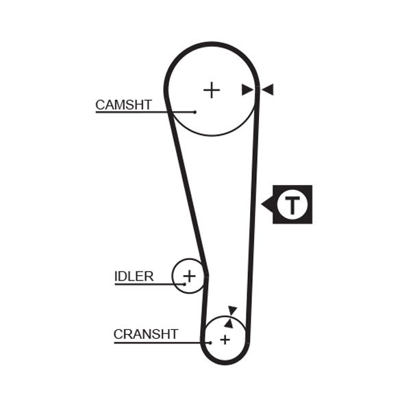 Courroie crantée PowerGrip®