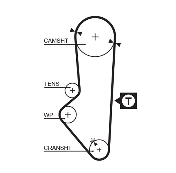 Courroie crantée PowerGrip®