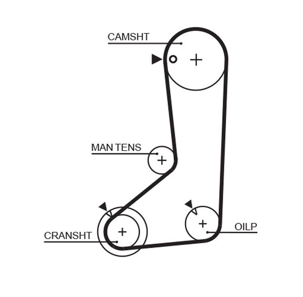 Courroie crantée PowerGrip®