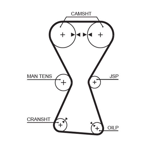 Courroie crantée PowerGrip®