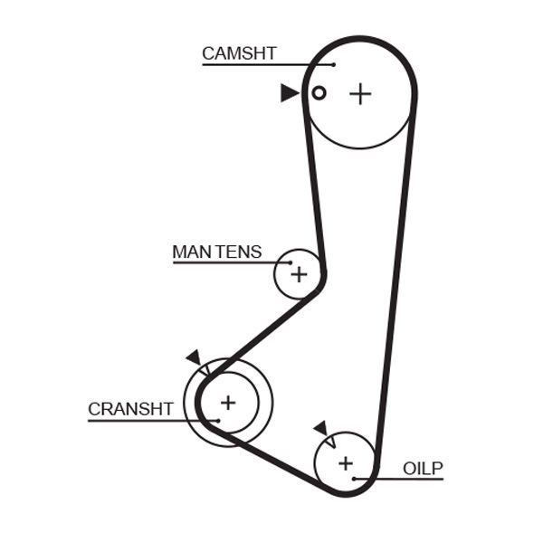 Courroie crantée PowerGrip®