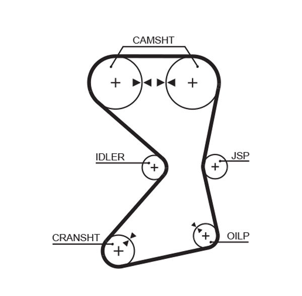 Courroie crantée PowerGrip®