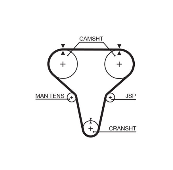 Courroie crantée PowerGrip®