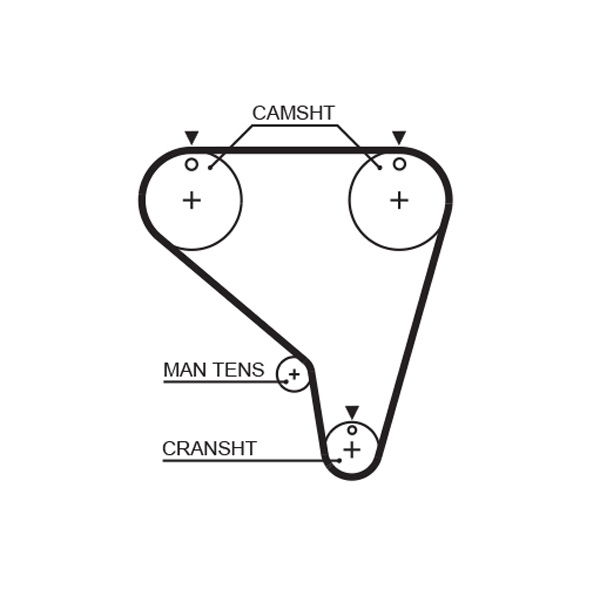 Courroie crantée PowerGrip®