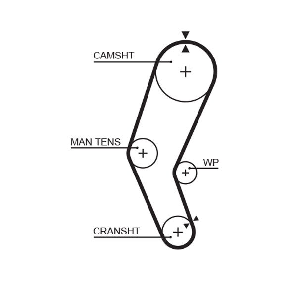 Courroie crantée PowerGrip®