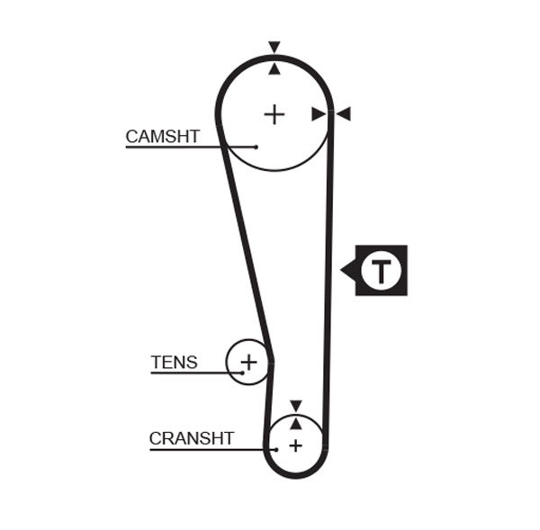 Courroie crantée PowerGrip®