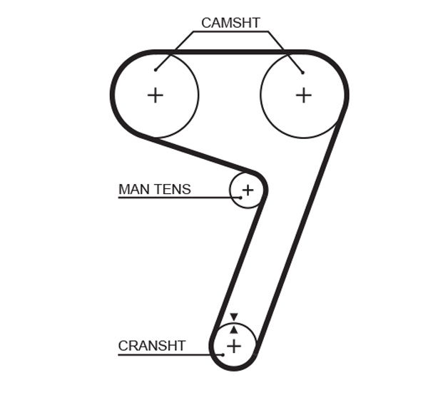 Courroie crantée PowerGrip®