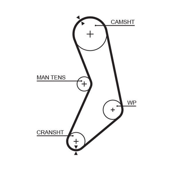 Courroie crantée PowerGrip®