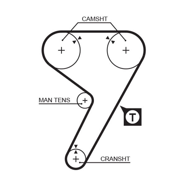 Courroie crantée PowerGrip®