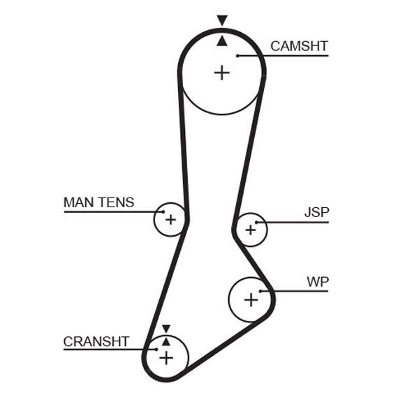 Courroie crantée PowerGrip®