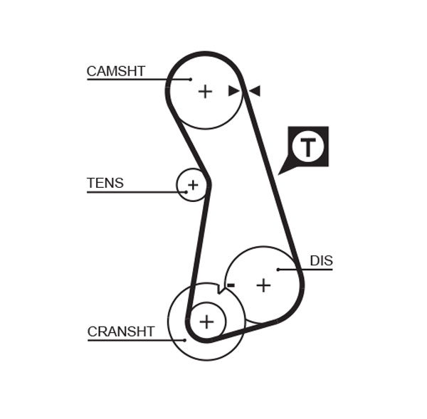 Courroie crantée PowerGrip®