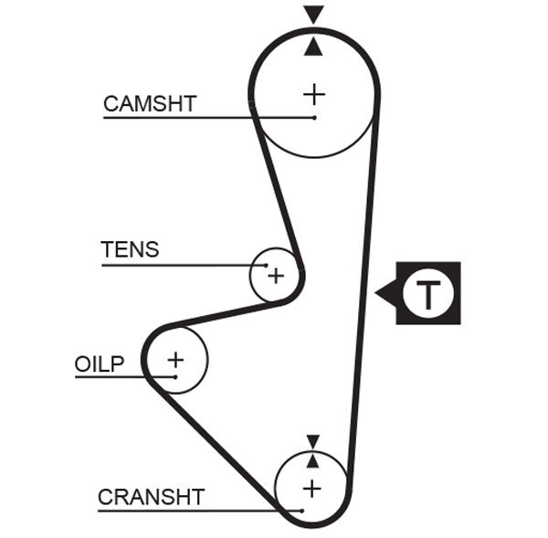 Courroie crantée PowerGrip®