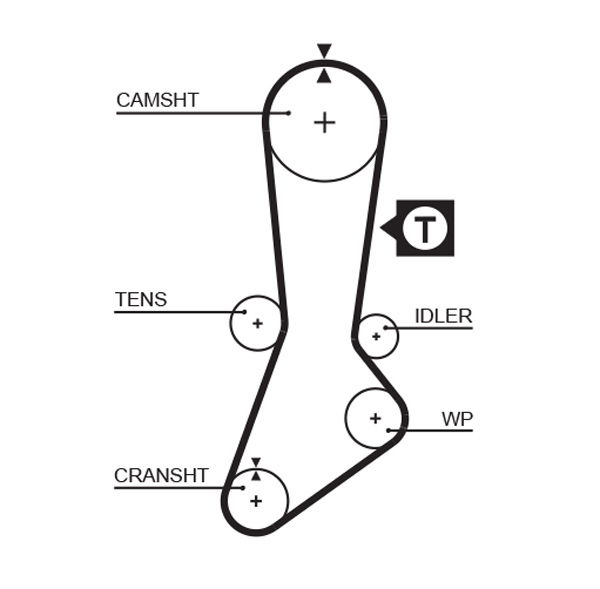 Courroie crantée PowerGrip®