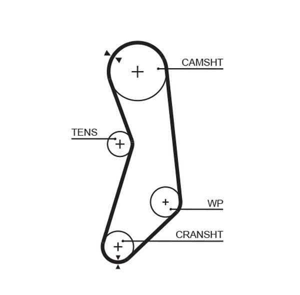 Courroie crantée PowerGrip®