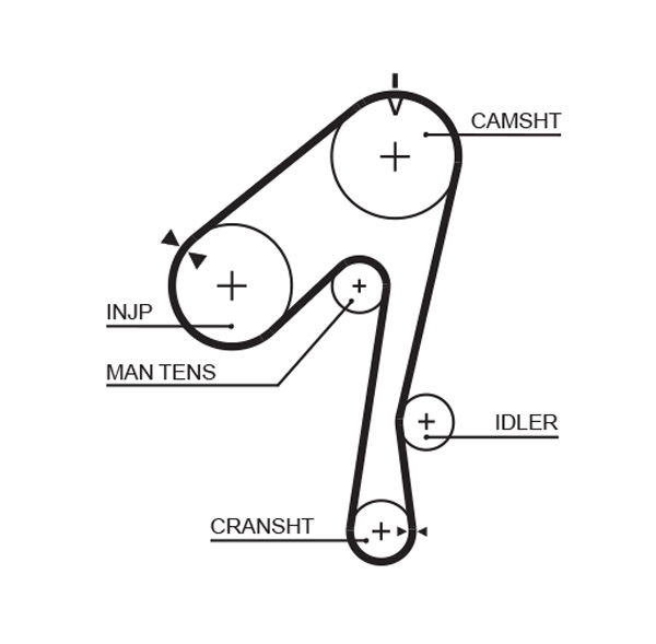 Courroie crantée PowerGrip®