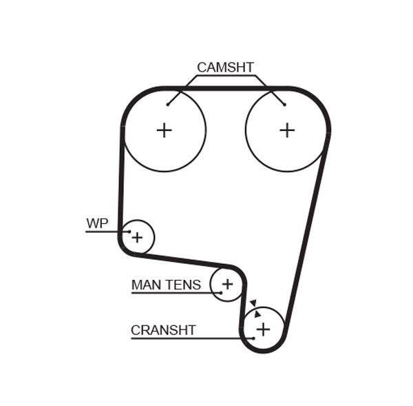 Courroie crantée PowerGrip®