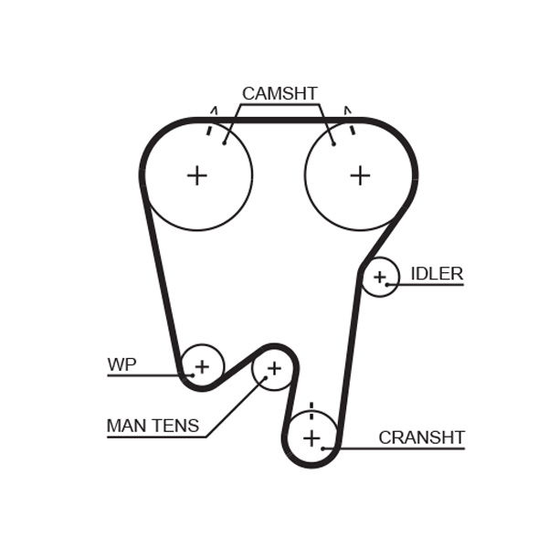 Courroie crantée PowerGrip®