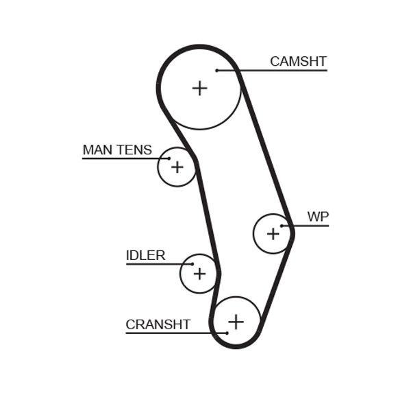 Courroie crantée PowerGrip®