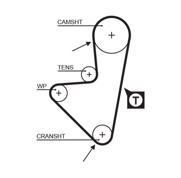 Courroie crantée PowerGrip®