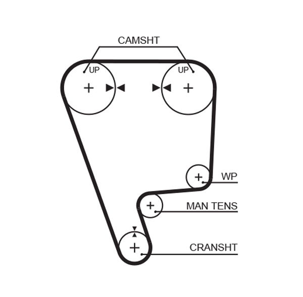 Courroie crantée PowerGrip®