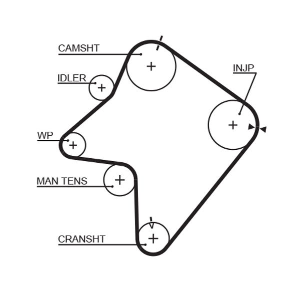 Courroie crantée PowerGrip®