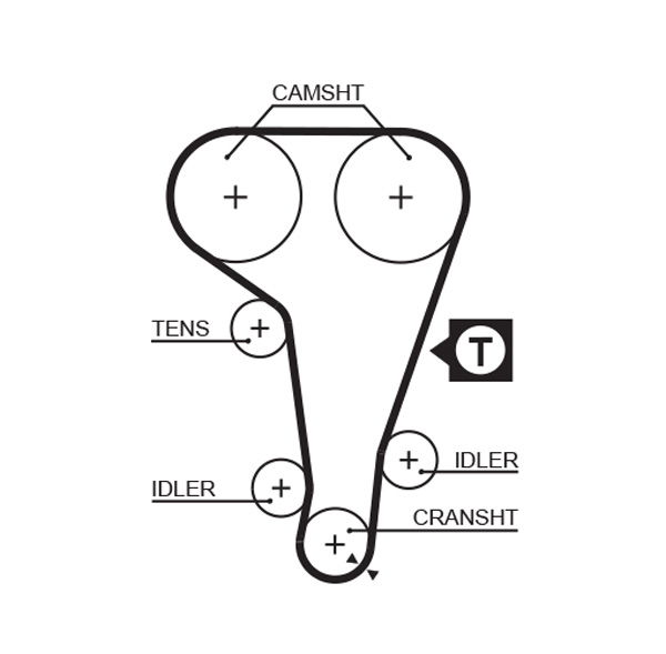 Courroie crantée PowerGrip®