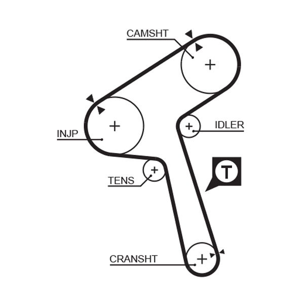 Courroie crantée PowerGrip®