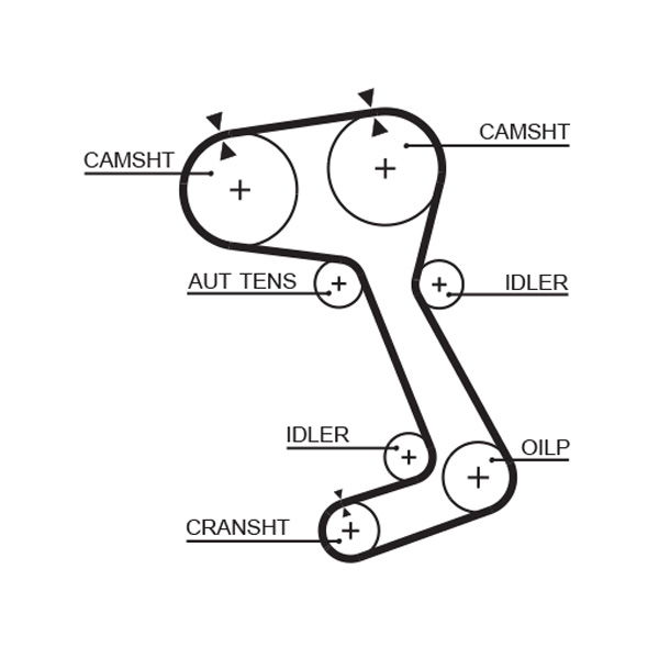 Courroie crantée PowerGrip®