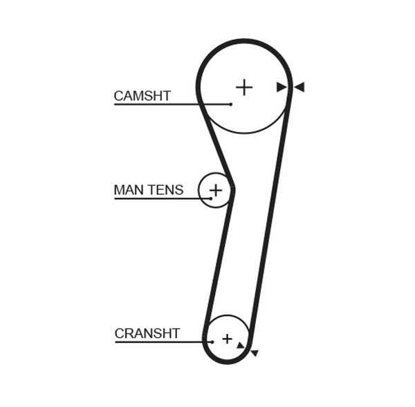 Courroie crantée PowerGrip®