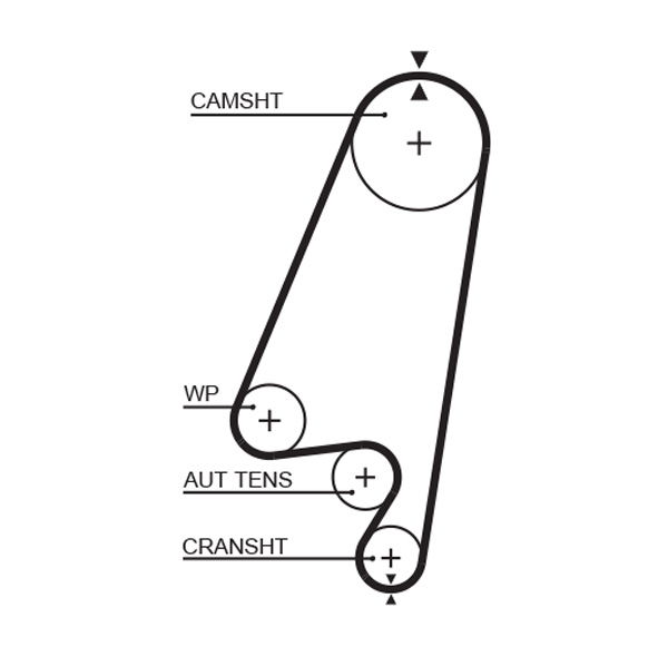 Courroie crantée PowerGrip®