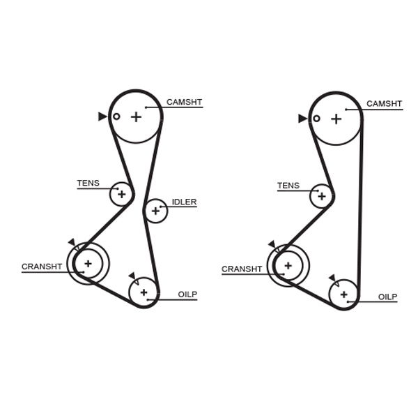 Courroie crantée PowerGrip®