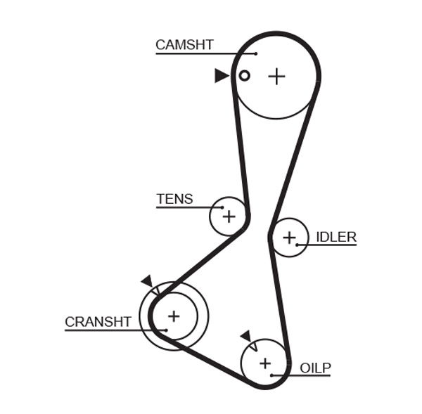 Courroie crantée PowerGrip®