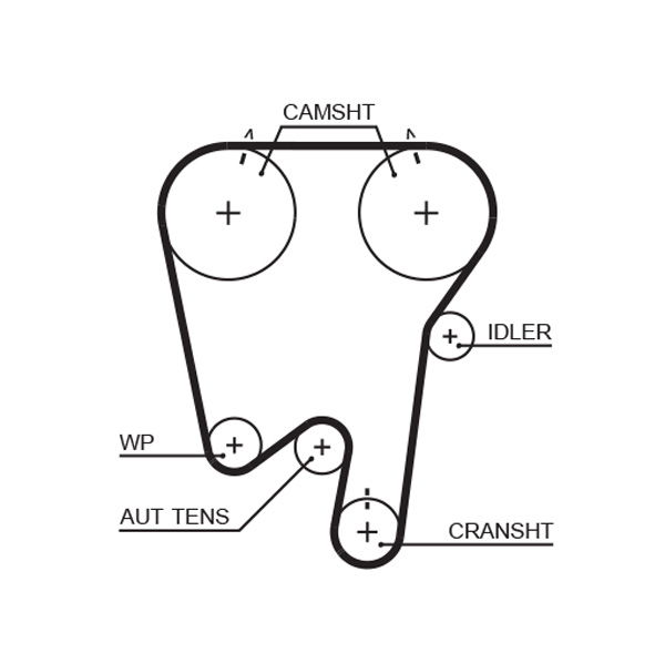 Courroie crantée PowerGrip®