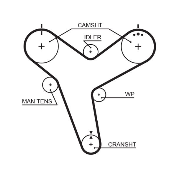 Courroie crantée PowerGrip®