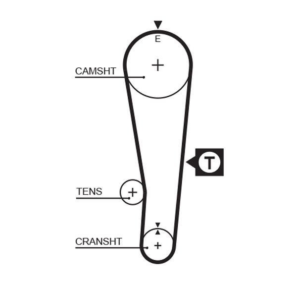 Courroie crantée PowerGrip®