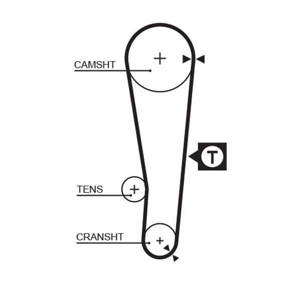 Courroie crantée PowerGrip®