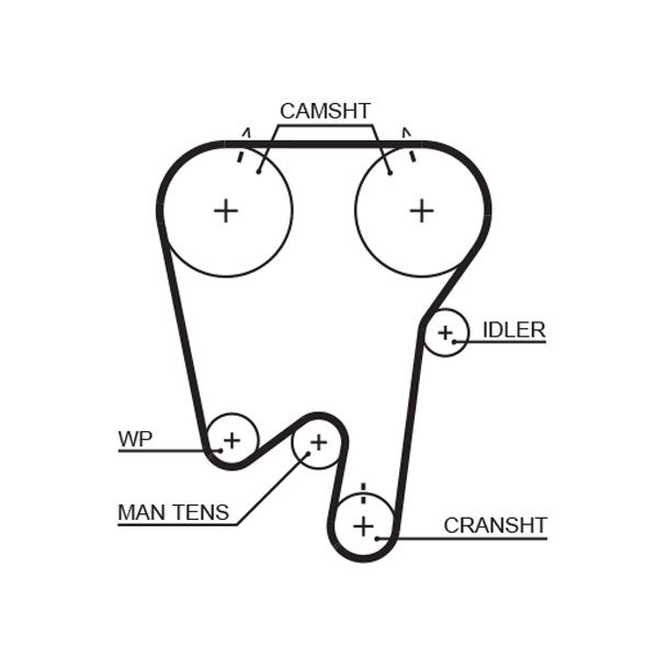 Courroie crantée PowerGrip®