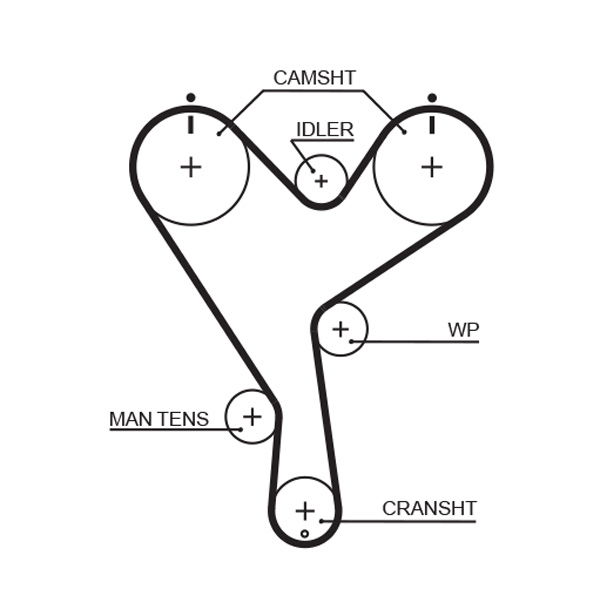 Courroie crantée PowerGrip®