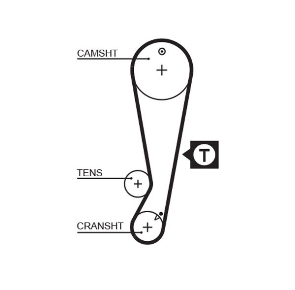 Courroie crantée PowerGrip®