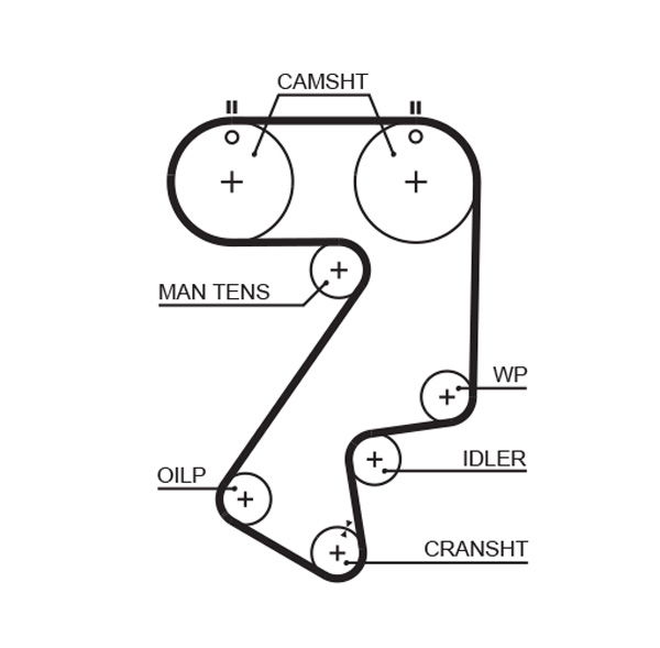 Courroie crantée PowerGrip®