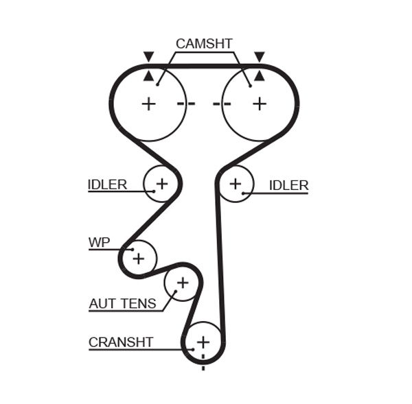 Courroie crantée PowerGrip®