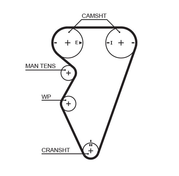 Courroie crantée PowerGrip®