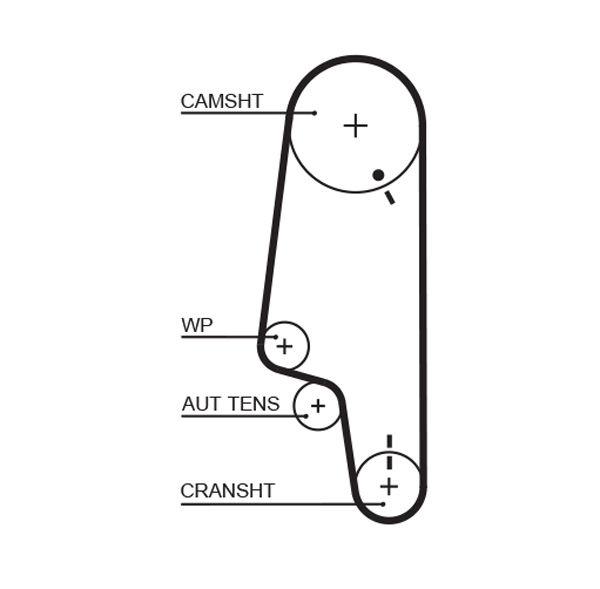 Courroie crantée PowerGrip®