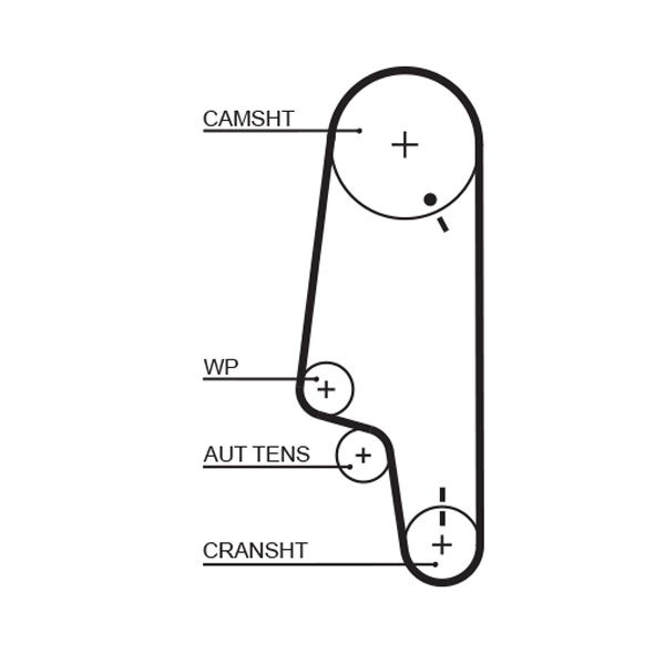 Courroie crantée PowerGrip®