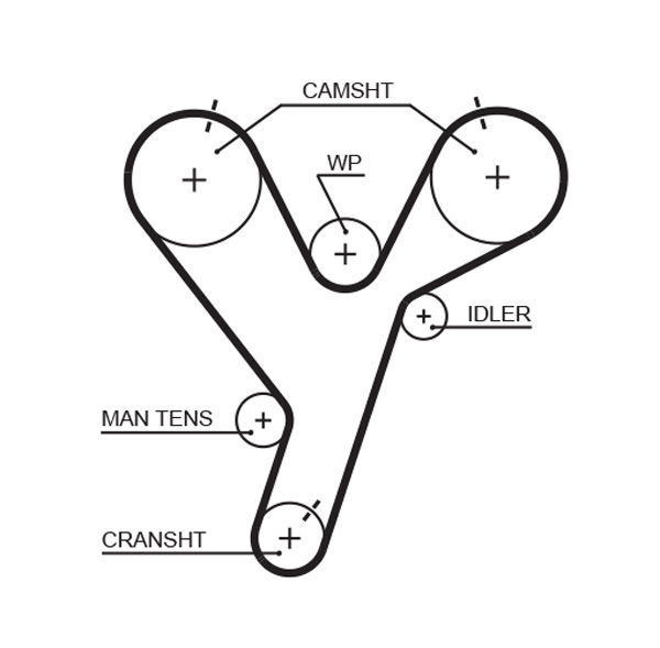 Courroie crantée PowerGrip®