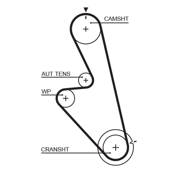 Courroie crantée PowerGrip®