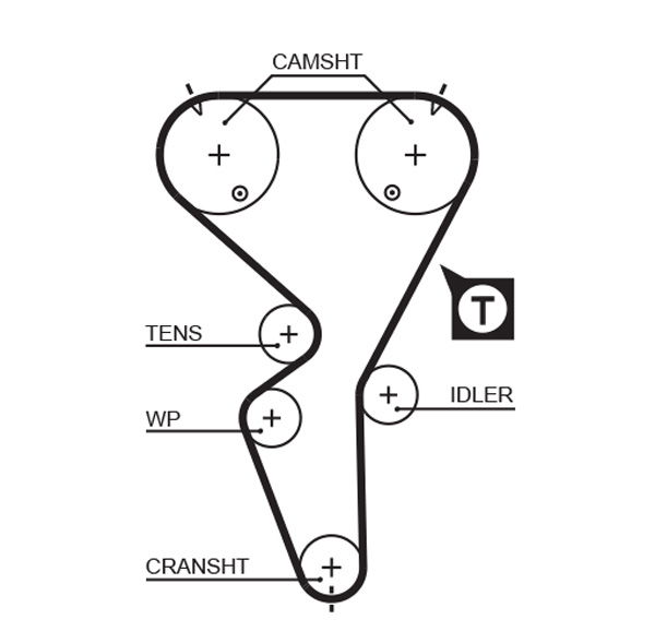 Courroie crantée PowerGrip®