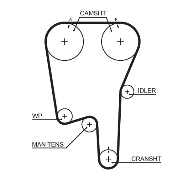 Courroie crantée PowerGrip®