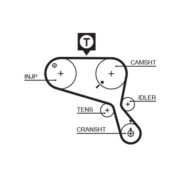 Courroie crantée PowerGrip®